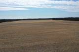 281.68 Acres Buttercup Ave & 16th Avenue - Photo 33