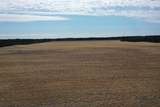 281.68 Acres Buttercup Ave & 16th Avenue - Photo 34