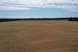281.68 Acres Buttercup Ave & 16th Avenue - Photo 35