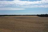 281.68 Acres Buttercup Ave & 16th Avenue - Photo 36