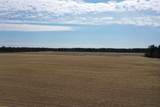 281.68 Acres Buttercup Ave & 16th Avenue - Photo 38
