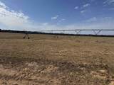 281.68 Acres Buttercup Ave & 16th Avenue - Photo 4
