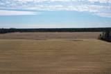 281.68 Acres Buttercup Ave & 16th Avenue - Photo 40