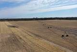 281.68 Acres Buttercup Ave & 16th Avenue - Photo 43
