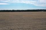281.68 Acres Buttercup Ave & 16th Avenue - Photo 44