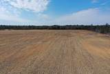 281.68 Acres Buttercup Ave & 16th Avenue - Photo 45