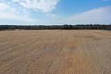 281.68 Acres Buttercup Ave & 16th Avenue - Photo 46