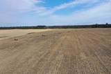 281.68 Acres Buttercup Ave & 16th Avenue - Photo 47