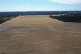 281.68 Acres Buttercup Ave & 16th Avenue - Photo 48
