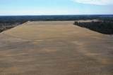 281.68 Acres Buttercup Ave & 16th Avenue - Photo 49