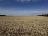 281.68 Acres Buttercup Ave & 16th Avenue - Photo 5