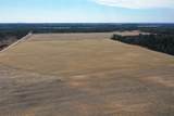 281.68 Acres Buttercup Ave & 16th Avenue - Photo 50