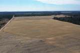 281.68 Acres Buttercup Ave & 16th Avenue - Photo 51