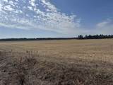 281.68 Acres Buttercup Ave & 16th Avenue - Photo 52