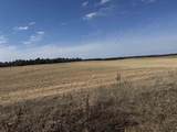 281.68 Acres Buttercup Ave & 16th Avenue - Photo 53