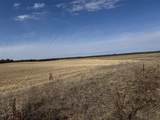 281.68 Acres Buttercup Ave & 16th Avenue - Photo 54