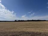 281.68 Acres Buttercup Ave & 16th Avenue - Photo 55