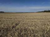 281.68 Acres Buttercup Ave & 16th Avenue - Photo 7