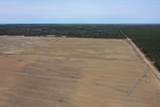 281.68 Acres Buttercup Ave & 16th Avenue - Photo 8