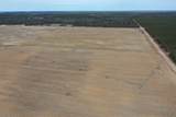 281.68 Acres Buttercup Ave & 16th Avenue - Photo 9