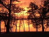 Lot 28 19th Boulevard - Photo 9