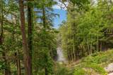 2411 River Road - Photo 43
