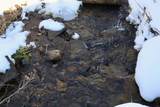 TBD Wheat Hollow Road - Photo 21