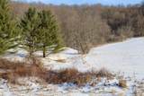 TBD Wheat Hollow Road - Photo 23