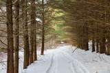 TBD Wheat Hollow Road - Photo 28