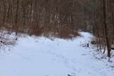 TBD Wheat Hollow Road - Photo 33
