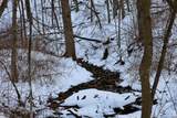 TBD Wheat Hollow Road - Photo 35