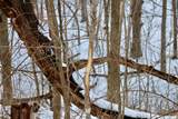 TBD Wheat Hollow Road - Photo 36