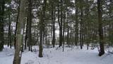 43+/- AC County Rd Ff Acres - Photo 18