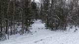 43+/- AC County Rd Ff Acres - Photo 4