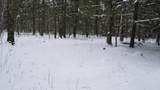 43+/- AC County Rd Ff Acres - Photo 7