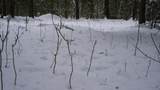 43+/- AC County Rd Ff Acres - Photo 8