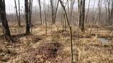 40+/- AC Kline Rd Acres - Photo 10