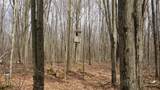 40+/- AC Kline Rd Acres - Photo 11
