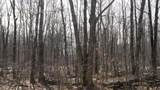 40+/- AC Kline Rd Acres - Photo 12