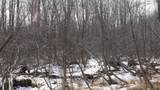 40+/- AC Kline Rd Acres - Photo 13