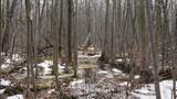 40+/- AC Kline Rd Acres - Photo 17