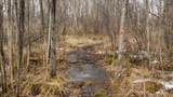 40+/- AC Kline Rd Acres - Photo 18