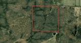40+/- AC Kline Rd Acres - Photo 20