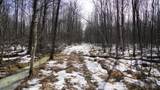 40+/- AC Kline Rd Acres - Photo 23