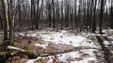 40+/- AC Kline Rd Acres - Photo 24