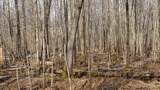 40+/- AC Kline Rd Acres - Photo 25