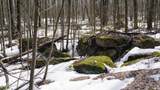 40+/- AC Kline Rd Acres - Photo 27