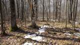 40+/- AC Kline Rd Acres - Photo 28