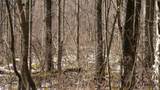 40+/- AC Kline Rd Acres - Photo 29