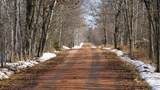 40+/- AC Kline Rd Acres - Photo 4